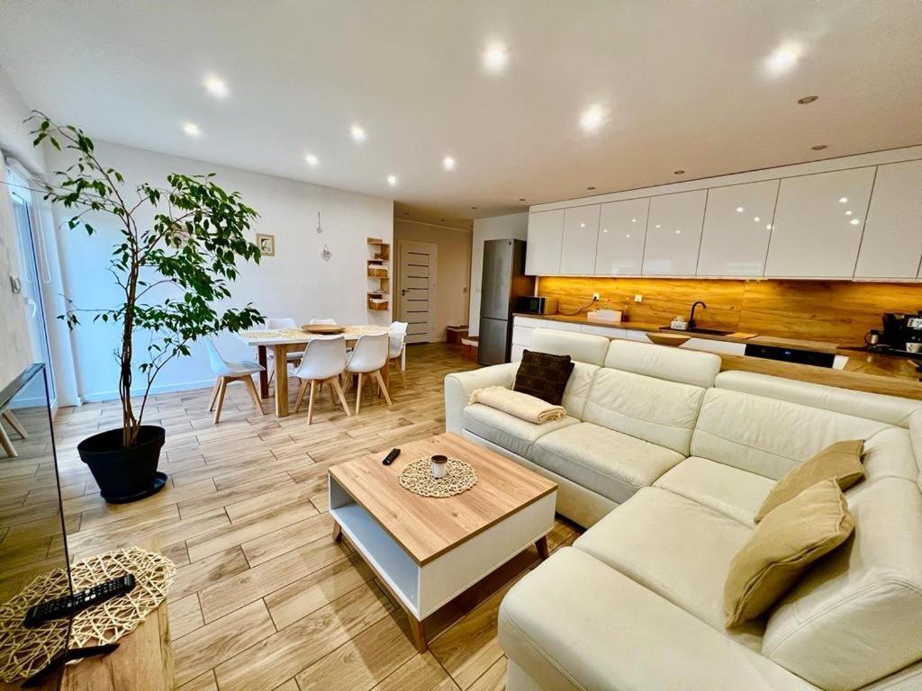Apartament Przy Kopalni Srebra 타르노프스키 고리 외부 사진