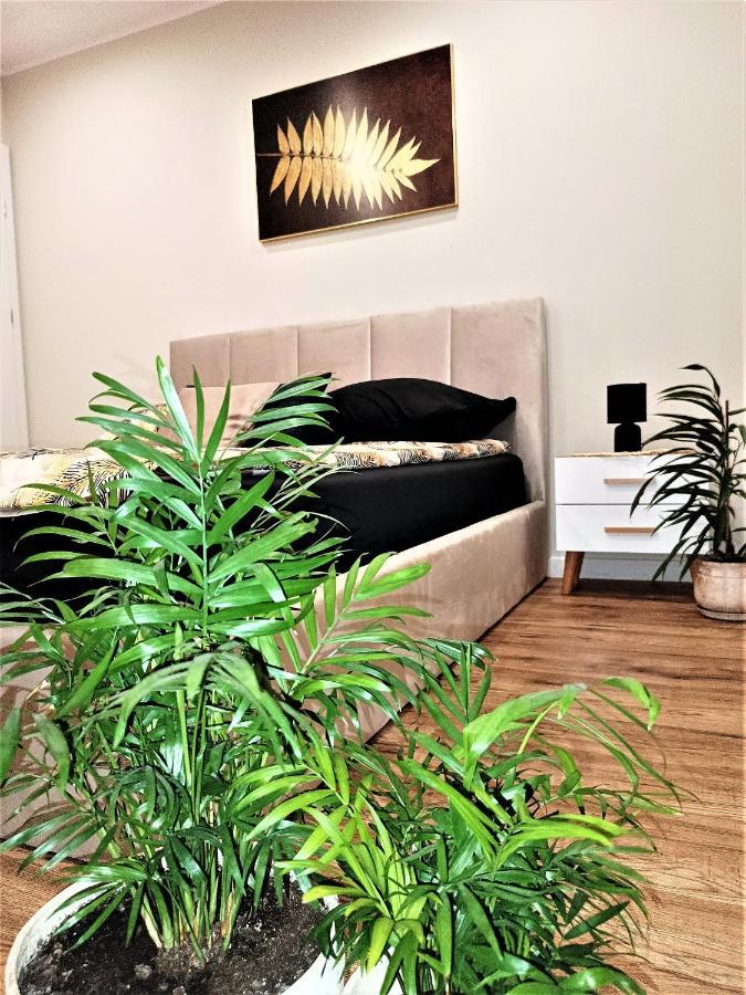 Apartament Przy Kopalni Srebra 타르노프스키 고리 외부 사진